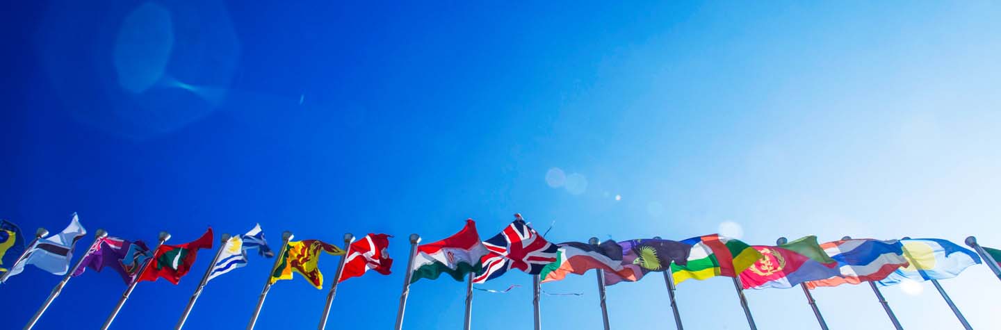 International Dealers