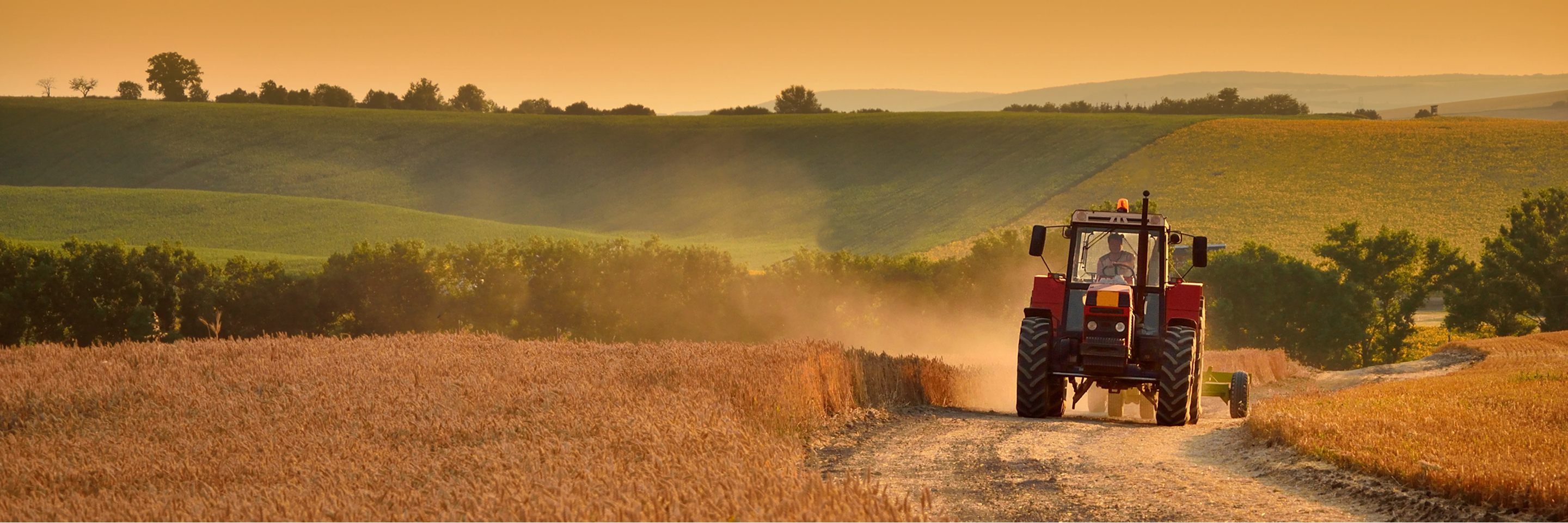 A red tractor drives along a dirt path through golden farmland, kicking up dust at sunset