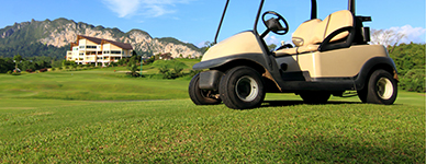 Golf Cart