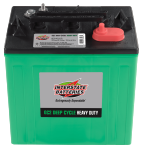 Golf Cart battery
