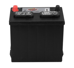 SP-22NF Lawn & Garden Battery