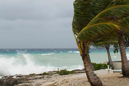 hurricane preparedness