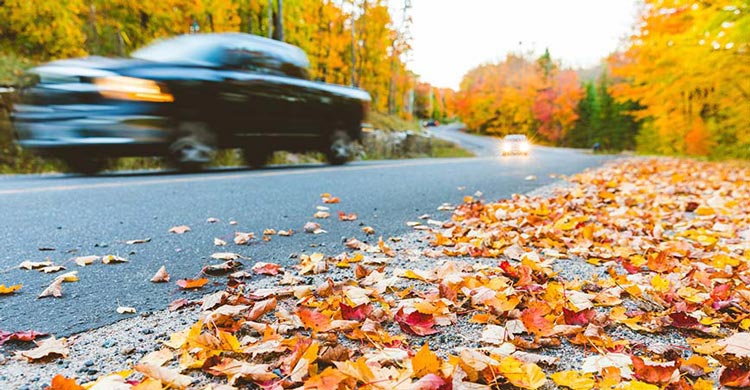 car on a country road